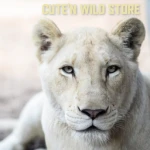 White Lioness Store