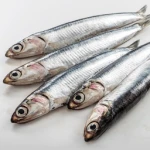 | Amazing Anchovies |