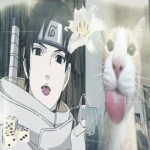 Anime Realm Hub
