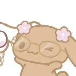 dollypet