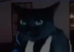 MoonsMizz
