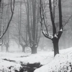 Remniscence