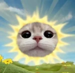 Cat - . -