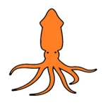Orange Squid's UGC