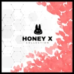 honey X | collection
