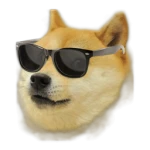 Doge retrubution