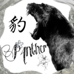 *P4nther