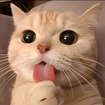 BigMwuah