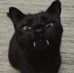 Angriest