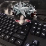 Smert