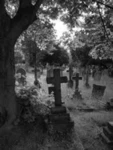 ,Graveyard