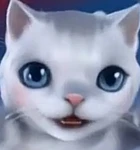 Chubby Kitten