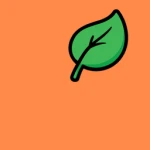 Orange Creative