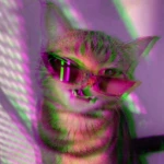 get silly