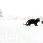 winterden