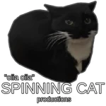 spinning cat productions
