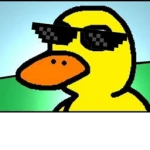 Original Ducky Gang