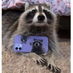 raddoob