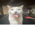 The Group of Wide Wisdom