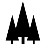 Whitewood