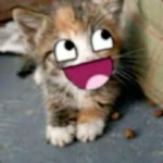 MemeUGC