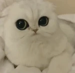 Emotеs