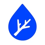 Waterwood Studio