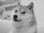 Play Modded Games