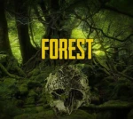 Game Forest Studio