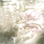 dawnblossom