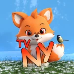 NYTV UGC