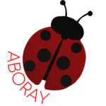 Aboray Studios