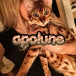 apolune