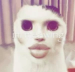 Everyday UGC