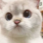 strwbry