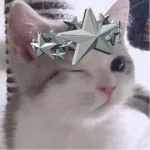 UGC Emotes!!
