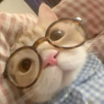 じょう