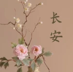 Chang’an | 长安