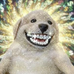 Sweater Heaven Store